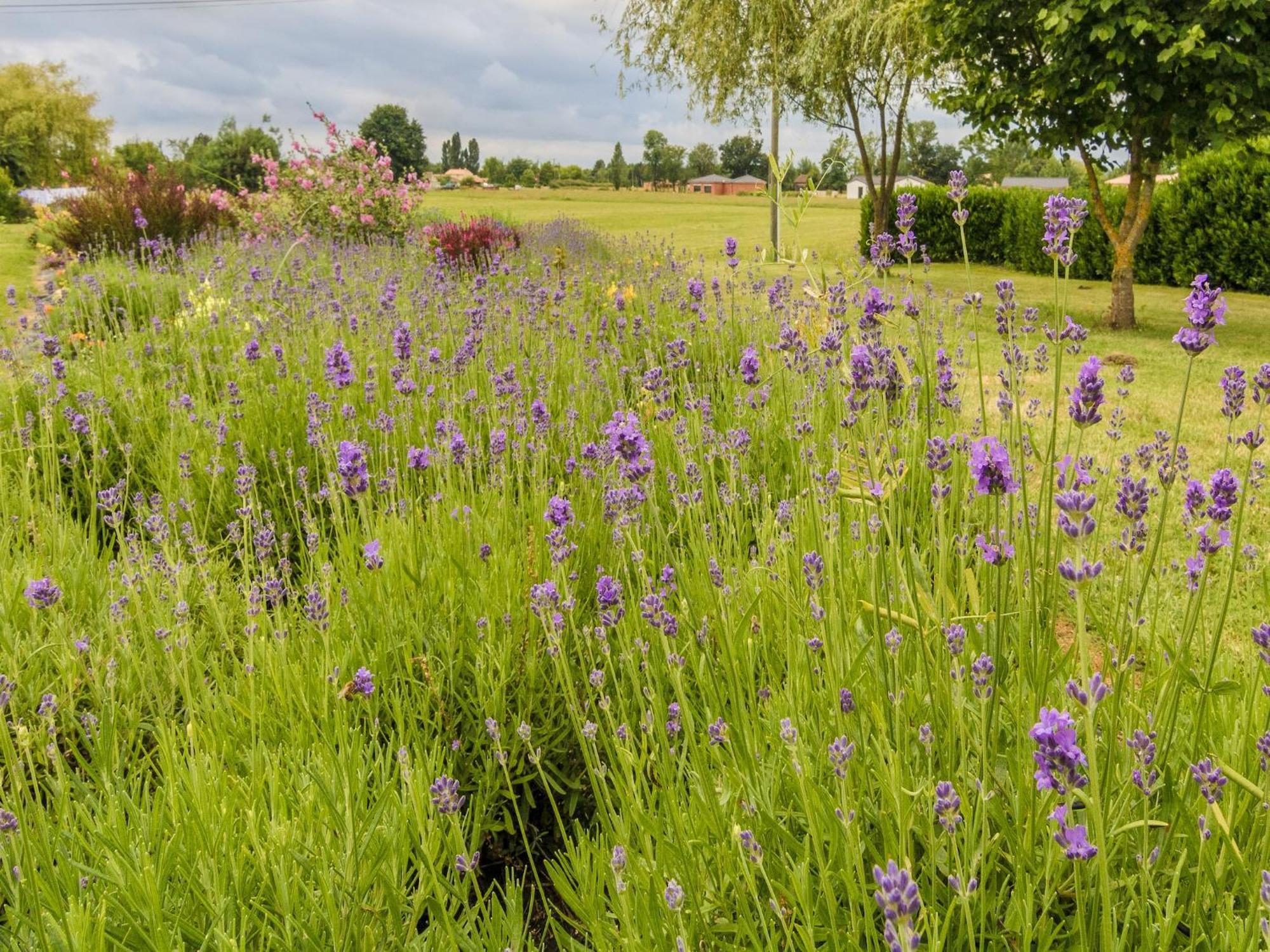 Modern Holiday Home In Aquitaine Saint-Nexans ภายนอก รูปภาพ